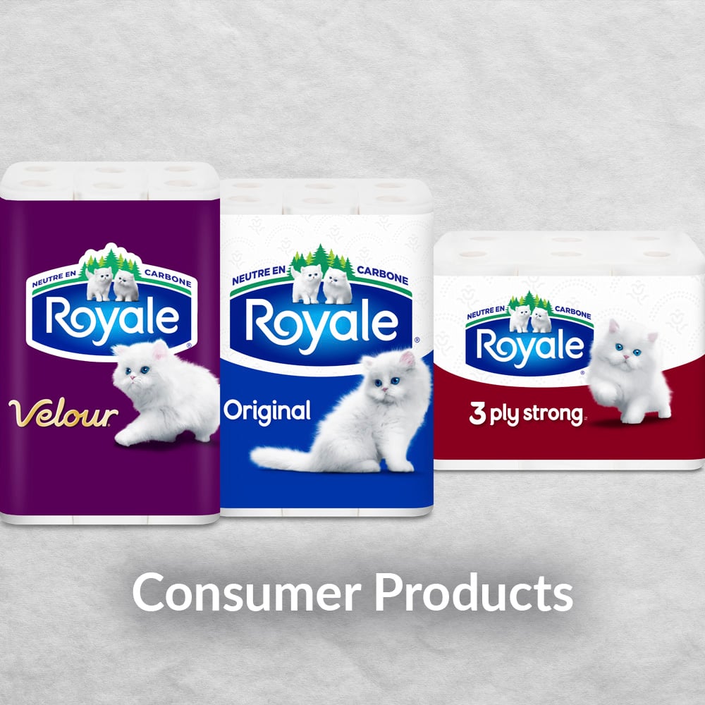 consumerproducts2.jpg