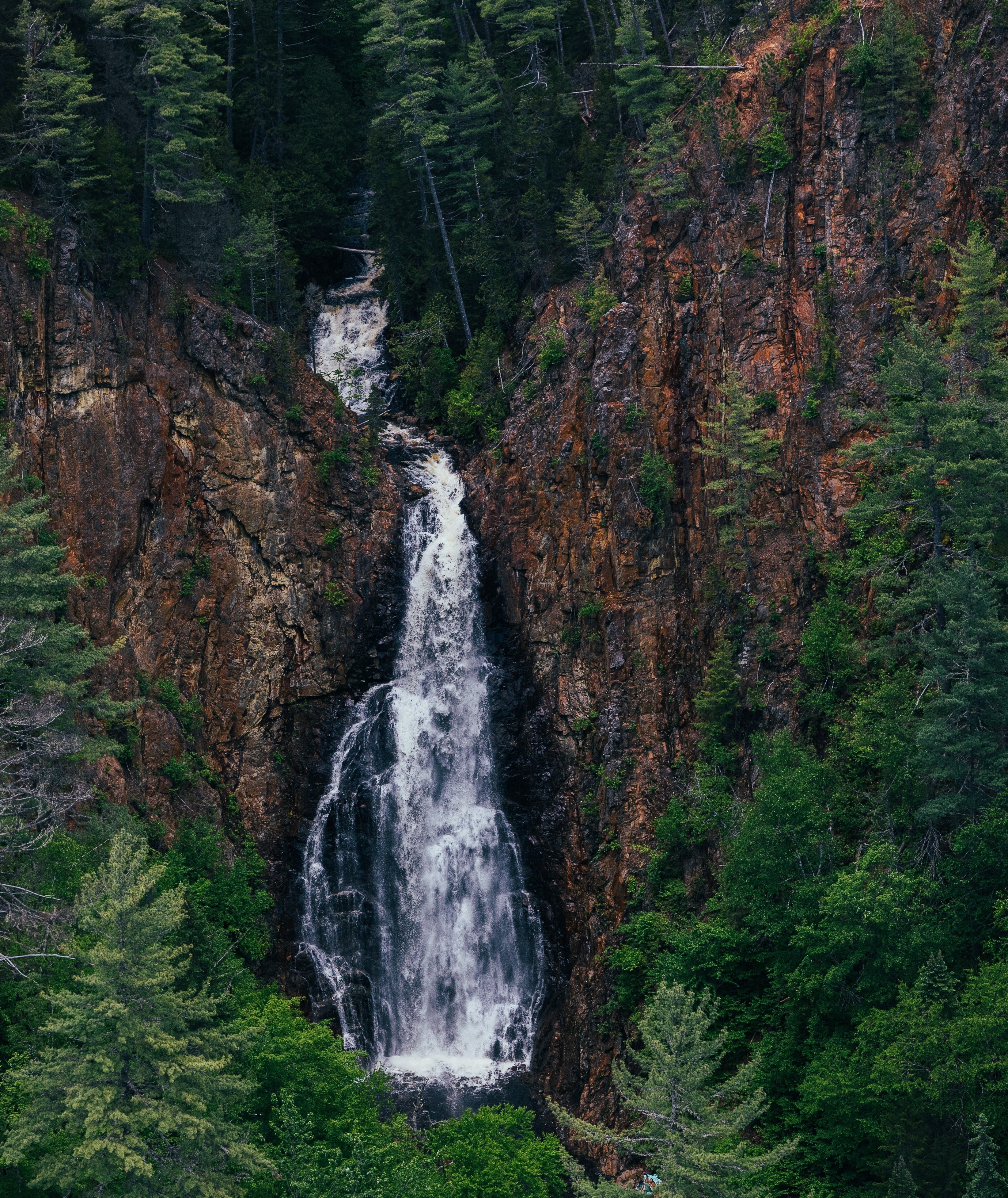 fall brook 2022 cropped.jpg