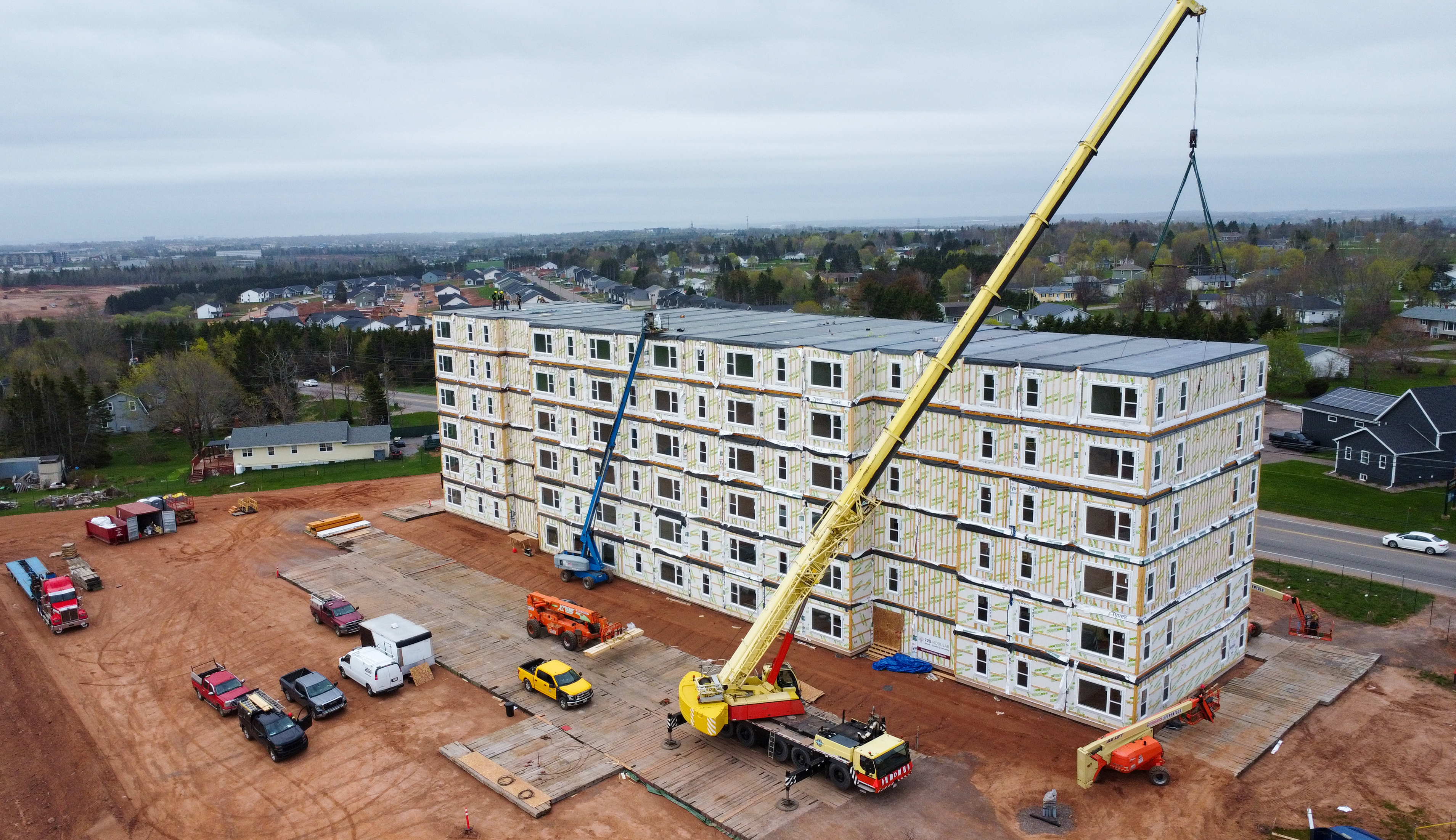 2025-05-16 (Malpeque, FINAL BOX)-52 (1).jpg