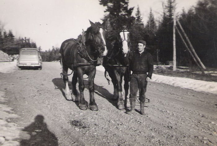 1957-Ray-work horse.jpg