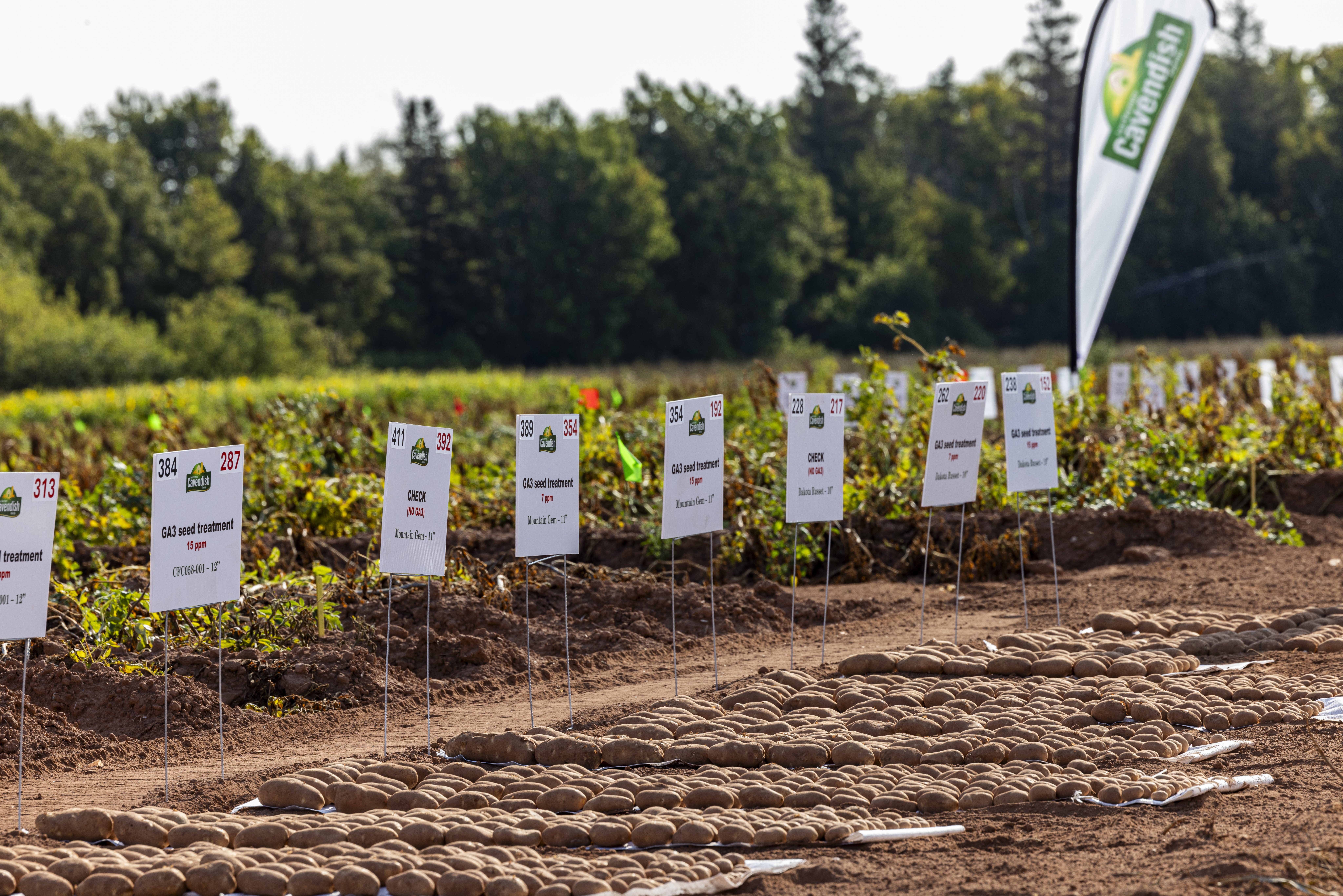 CF_GrowersDay_2025__18 (1).jpg